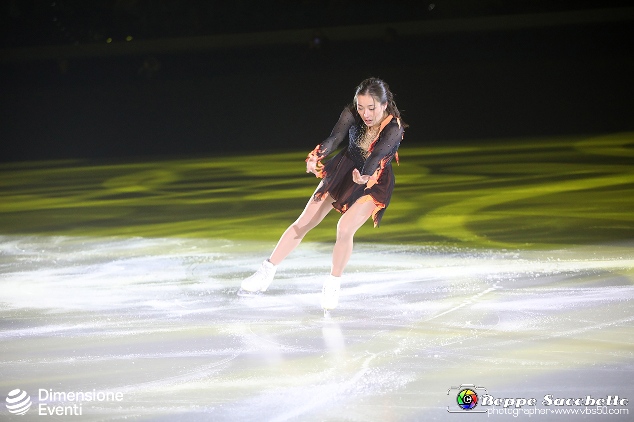 VBS_1334 - Monet on ice.jpg